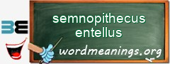 WordMeaning blackboard for semnopithecus entellus